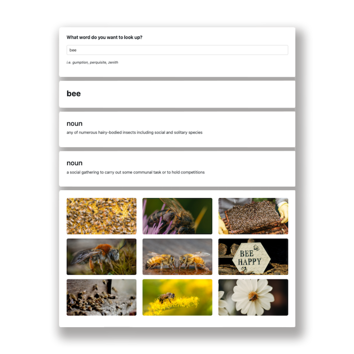 Dictionary App designed, developed, and deployed by Front-End Developer, Chelsea Koenig
